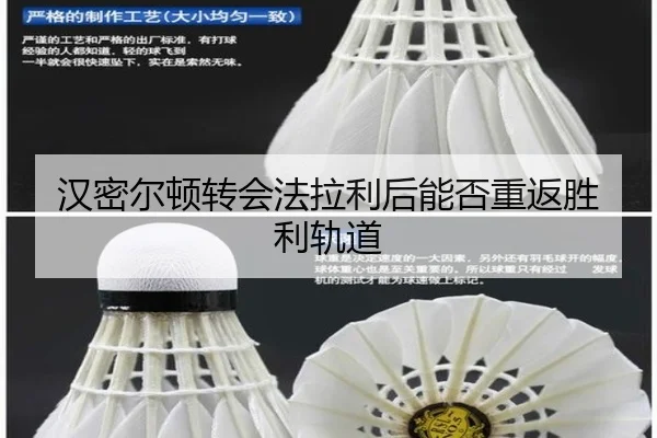 汉密尔顿转会法拉利后能否重返胜利轨道